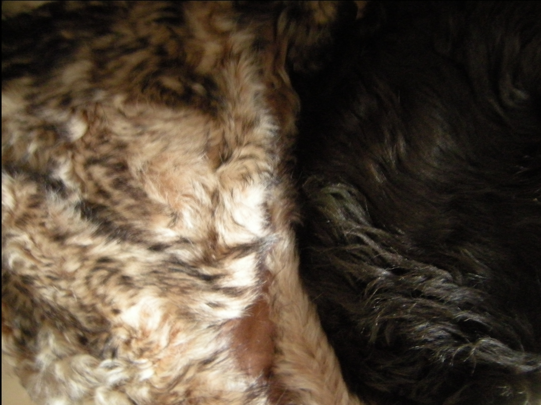 * Custom Order: Shearling Hats